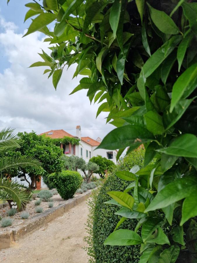 Casa Nikana Turcifal Exterior foto
